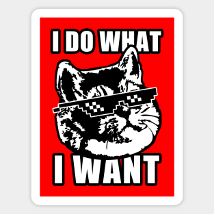 I Do What I Want Funny Cat Meme Deal with It Magnet